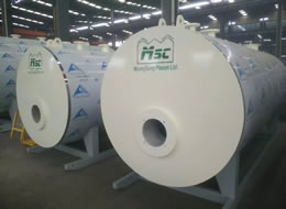 CWNS��ȼ��(��)������ˮ偠t